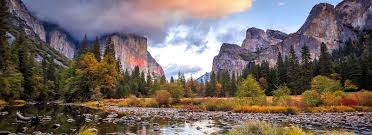 Yosemite Jazz Guitar & Bass Workshop